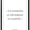 affiche-poster-citation-chirac-emmerdes-A4-cadre