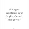 affiche-poster-citation-audiard-pigeon-A4