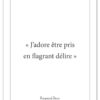 affiche-poster-citation-Devos-delire-A4