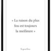 affiche-poster-citation-Devos-fou-A4-cadre