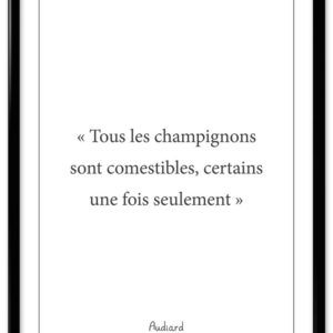 Affiche citation Audiard - "Champignons"