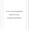 affiche-poster-chenilles-A4 affiche-poster-chenilles-A4